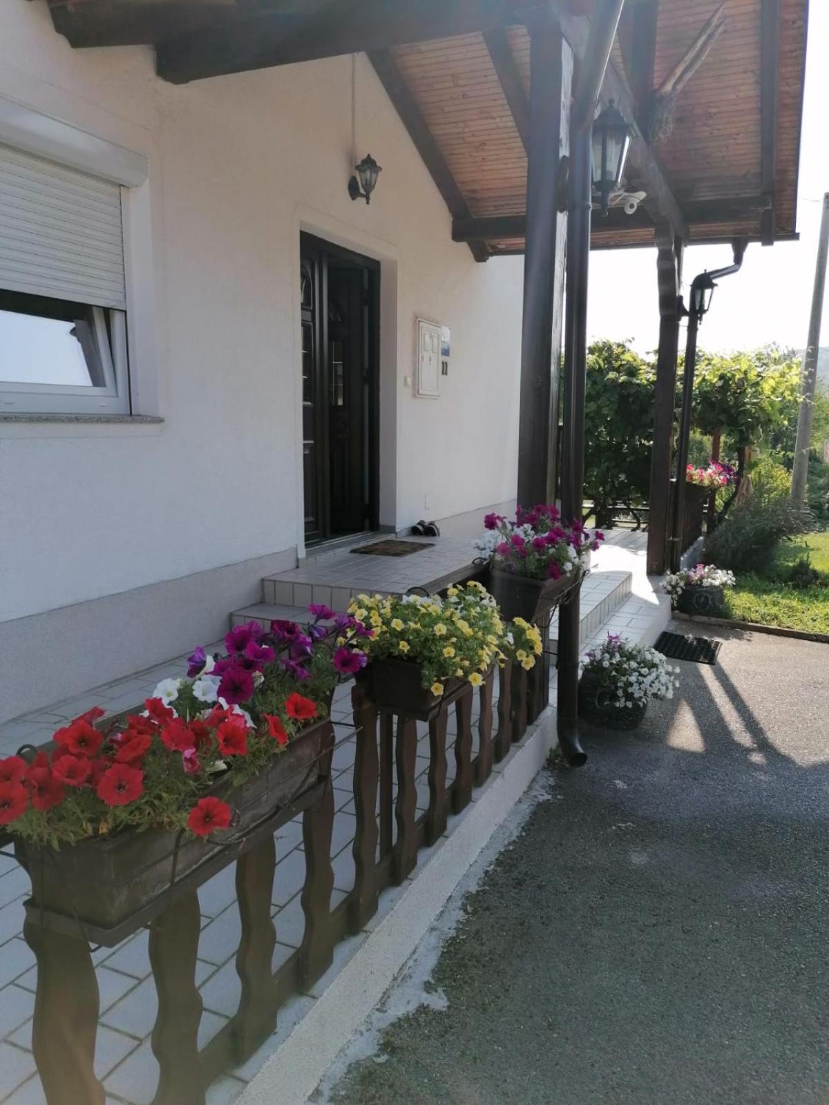 House Viktoria Hotel Selište Drežničko Kültér fotó