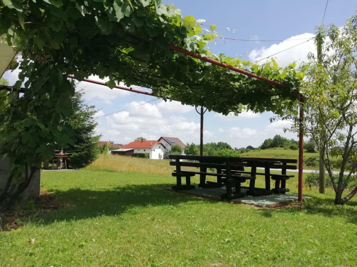 House Viktoria Hotel Selište Drežničko Kültér fotó